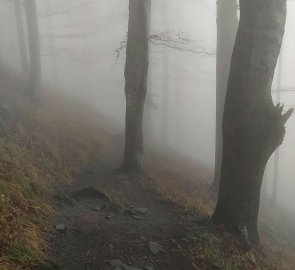 The trail back was again in an inversion