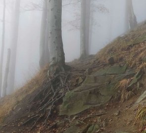 The trail back was again in an inversion