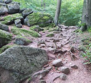 Kamenitá cesta k vrcholu Ořešníku