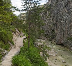 The trail in the gorge