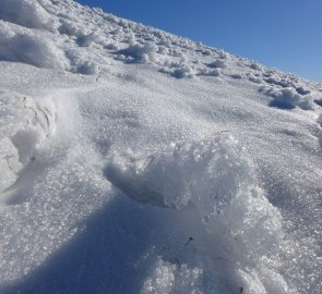 Ledová krusta na značené cesta č. 831 kousek pod vrcholem Ebenstein
