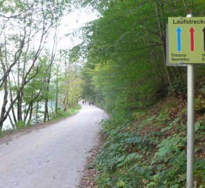 Zpevněná cesta směrem k občerstvení Seestüberl u Leopoldsteiner See