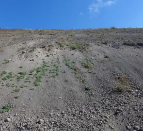 Volcanic slope to the crater of Vesuvius volcano