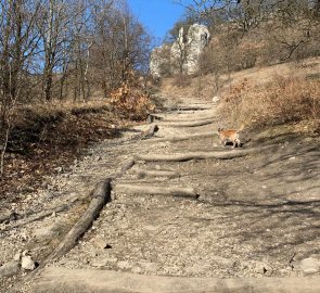 The steepest climb to the rock Strážce