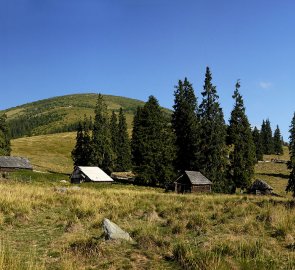 Salaše Culmea Cionii a hora Vârful lui Pătru 2 130 m n. m.