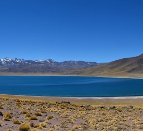 Laguna Miscanti 4 120 m n. m. v Chile