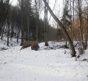 Stezka v údolí Říčky v CHKO Moravský kras