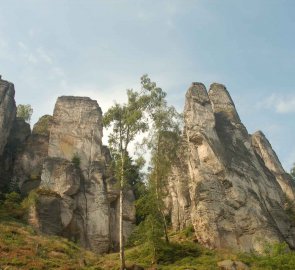 Skalní věže v Prachovských skalách