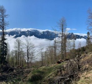 Nad inverzí se otevřely výhledy na pohoří Totes Gebirge