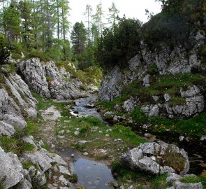Cesta korytem potoka Goldbach