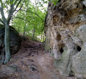 Cesta mezi pískovci od hradu Valečov