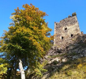 Zřícenina hradu Osek (Rýzmburk)