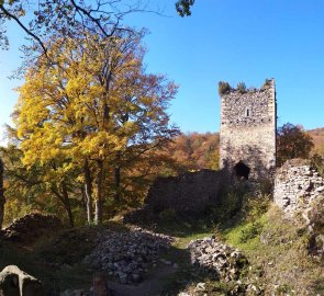 Zřícenina hradu Osek (Rýzmburk)
