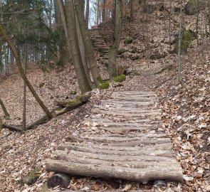 Výstup ke skalnímu bludišti Chléviště místy usnadňovaly schody