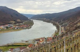 Hike through the vineyards to Jauerling, the highest point in Wachau