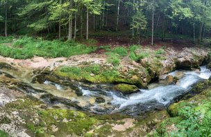 Trek to the gorge of the Mostnica River at Lake Bohinj