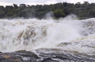 Procházka k Murchison Falls v Ugandě