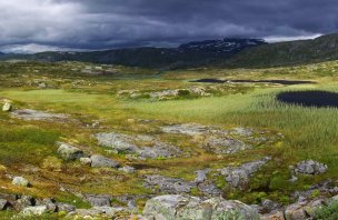Trek k chatě Kjeldebu v národním parku Hardangervidda v Norsku
