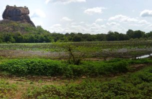 Skalní chrám Sigiriya - střípky z dovolené na Sri Lance